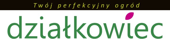 Dzialkowiec